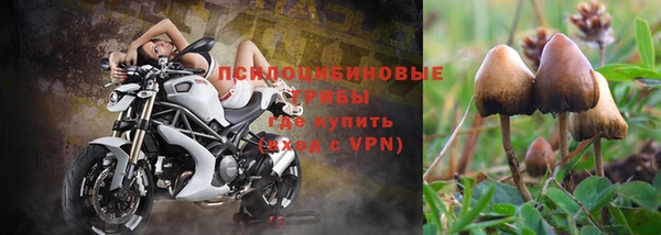 прущие крисы Белоозёрский